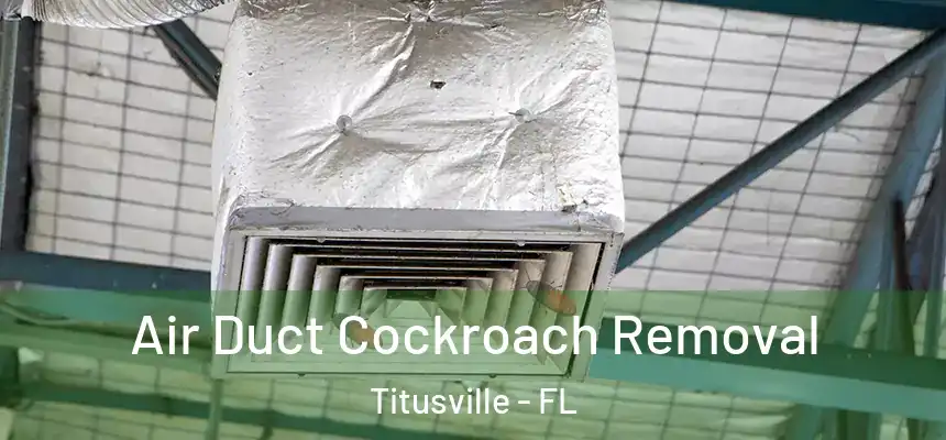  Air Duct Cockroach Removal Titusville - FL