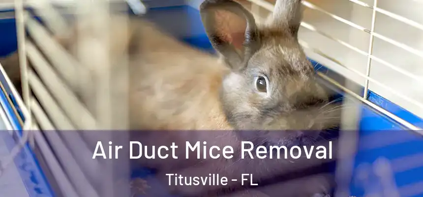 Air Duct Mice Removal Titusville - FL