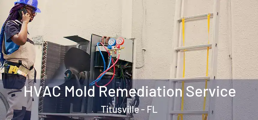 HVAC Mold Remediation Service Titusville - FL