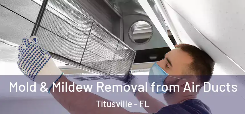  Mold & Mildew Removal from Air Ducts Titusville - FL