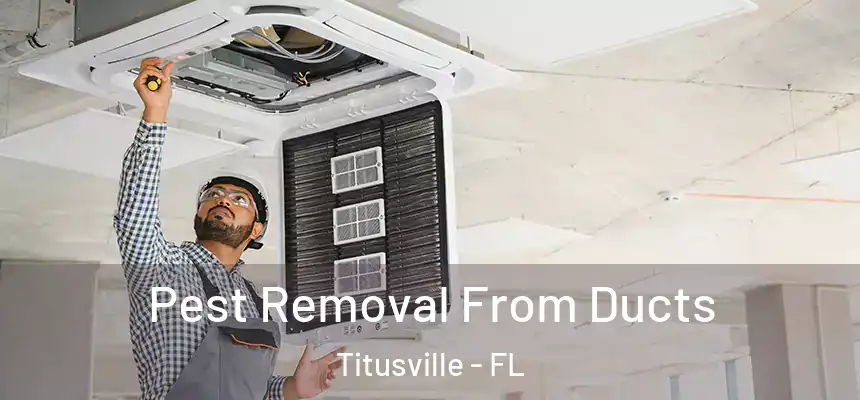 Pest Removal From Ducts Titusville - FL