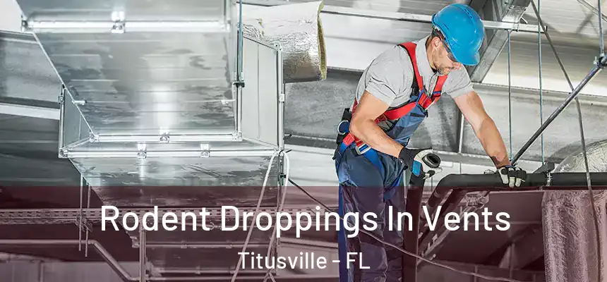 Rodent Droppings In Vents Titusville - FL