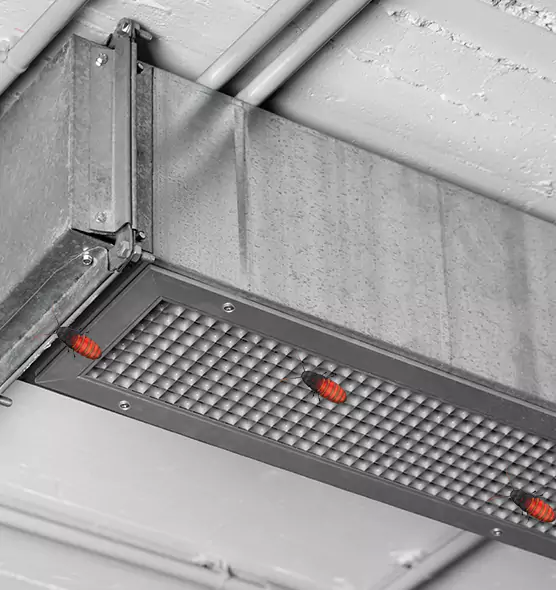 About Air Duct Cockroach Removal in Titusville, FL