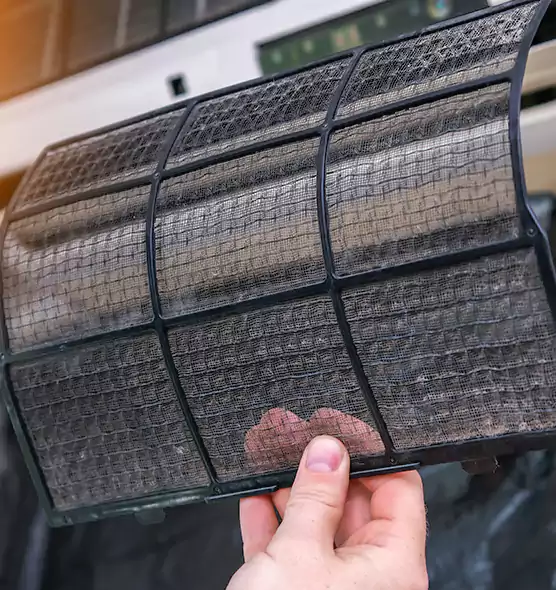 About Pet Dander Duct Cleaning in Titusville, FL